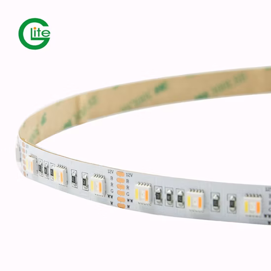 3 ans de garantie bande lumineuse LED SMD5050 Rgbww 60LED DC24 pour la décoration d'éclairage